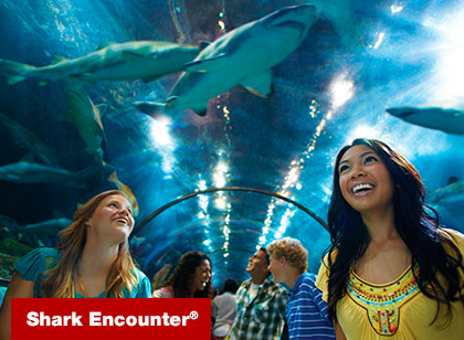 SeaWorld San Diego Any Ticket - Acima de 3 anos 
